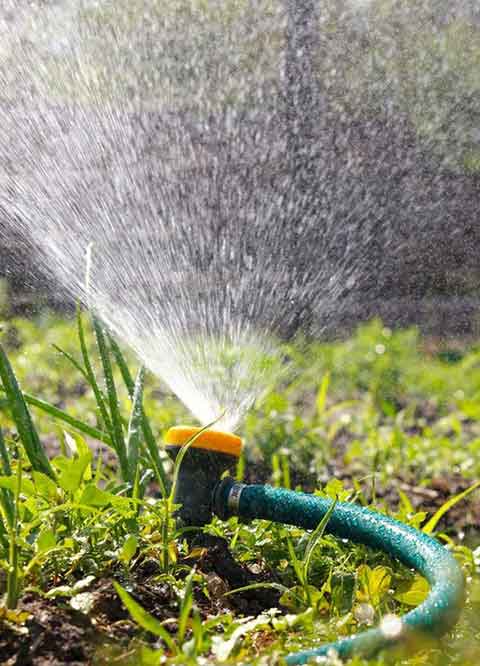 Water Feature & Household